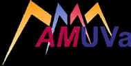 AMUVA (Asociación de Microbótica de la UVA)
